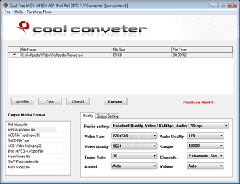 Cool Free MOV MPEG4 ASF iPod AVI DIVX FLV Converter screenshot
