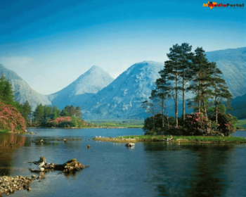 Cool Nature Screensaver screenshot