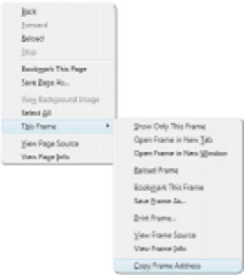 Copy Frame Address screenshot