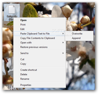 Copy Paste File Contents screenshot