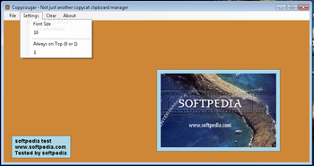 Copycougar screenshot