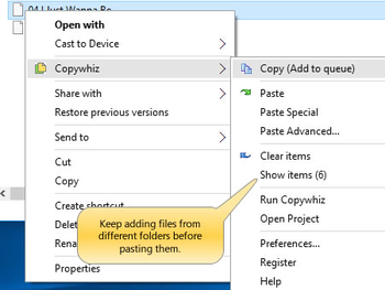 Copywhiz  screenshot