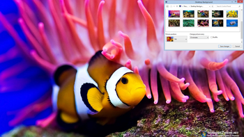 Coral Fish Windows 7 Theme screenshot