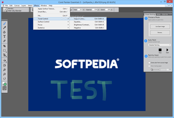 Corel Painter Essentials screenshot 4