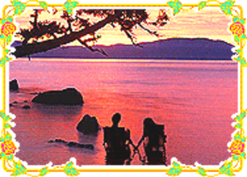 Couples enjoy the sunset with dolphins screenshot 2