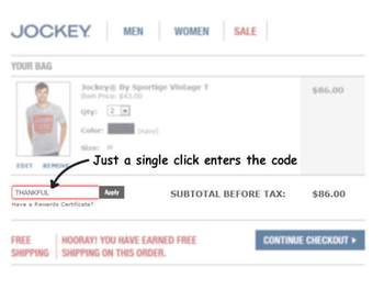 Coupons at Checkout for Internet Explorer screenshot 2