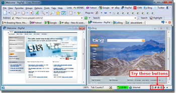 Crazy Browser screenshot 2
