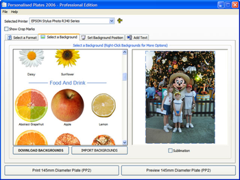 Create A Plate 2008 screenshot 2