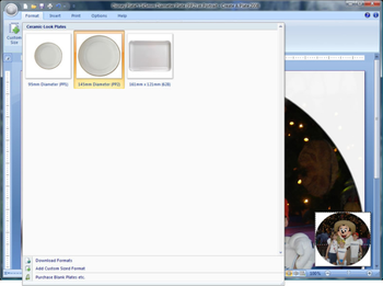 Create A Plate 2012 screenshot