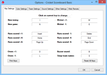 Cricket Scoreboard Basic screenshot 2