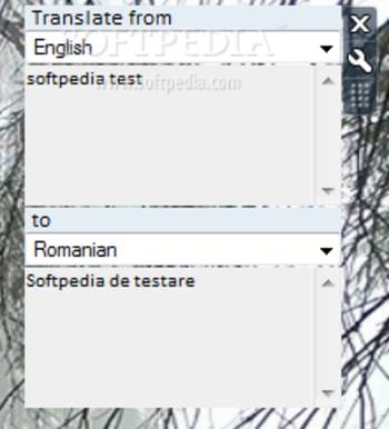 Critical Translator screenshot