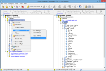 Cross-Database Comparator Pro screenshot 2