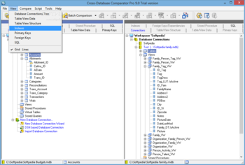 Cross-Database Comparator Pro screenshot 3