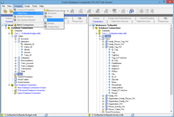 Cross-Database Comparator Pro screenshot 4