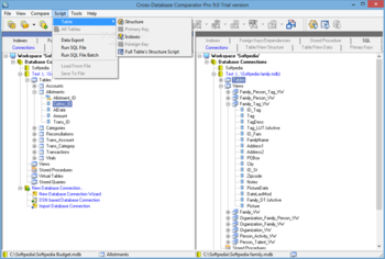 Cross-Database Comparator Pro screenshot 5