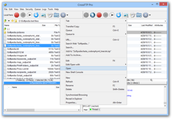CrossFTP Pro screenshot 6