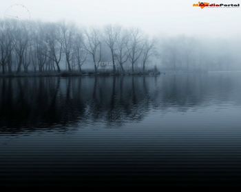 Cryptic Fog Screensaver screenshot