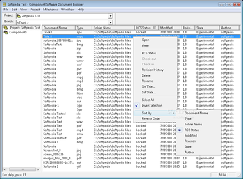 CS-RCS Pro screenshot