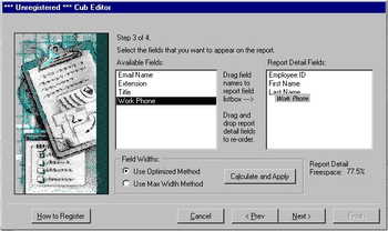 Cub Editor for MS Access screenshot 2