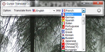 Cursor Translator screenshot 2