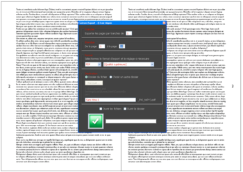 Custom PDF Export screenshot
