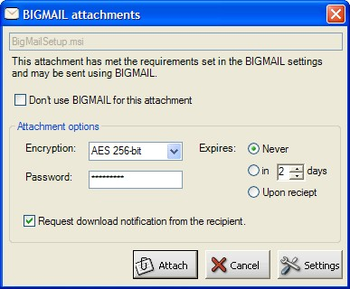 Cyber-Mint BIGMAIL screenshot