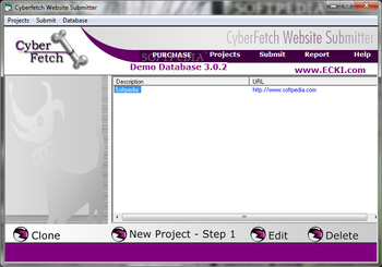 Cyberfetch Website Submitter screenshot
