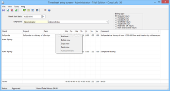 CyberMatrix Timesheets Standard screenshot