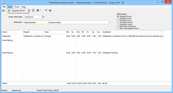 CyberMatrix Timesheets Standard screenshot 3