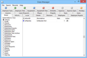 CyberMatrix Timesheets Standard screenshot 8