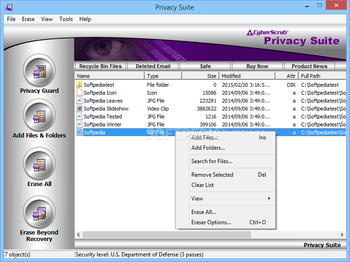 CyberScrub Privacy Suite Professional screenshot