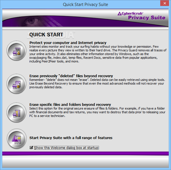 CyberScrub Privacy Suite Professional screenshot 2