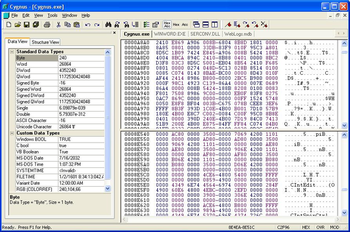Cygnus Hex Editor screenshot 2