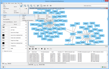 Cytoscape screenshot 2