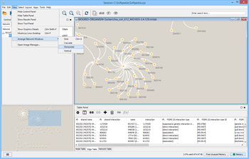 Cytoscape screenshot 4