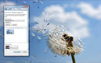 Dandelion screenshot