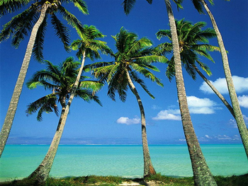 dArt Tropical Islands vol.1 screenshot 2