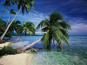 dArt Tropical Islands vol.1 screenshot 3