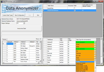 Data Anonymizer screenshot
