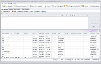 Data Cleansing & Matching screenshot