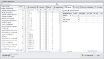 Data Cleansing & Matching screenshot 3