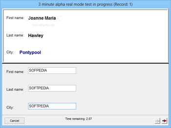 Data Entry Test screenshot 7