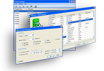 Data Exchange Manager Professional screenshot