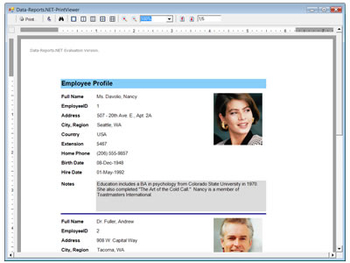 Data-Reports.NET screenshot 3
