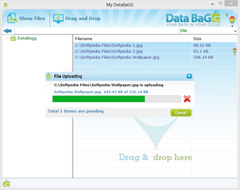 DataBaGG screenshot 3