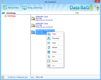 DataBaGG screenshot 4