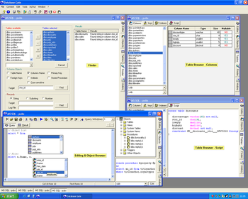Database Gate screenshot