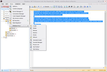 Database .NET Professional screenshot 10