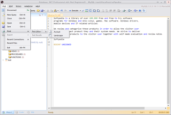 Database .NET Professional screenshot 8
