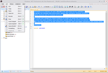 Database .NET Professional screenshot 9